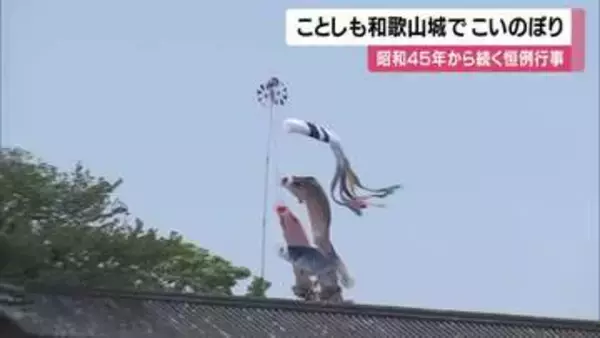 「でかい！気持ちよさそう」和歌山城にこいのぼり　こどもの日を前に園児たちが協力して掲げる　ことしで57回目の恒例行事　5月5日まで