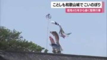 「でかい！気持ちよさそう」和歌山城にこいのぼり　こどもの日を前に園児たちが協力して掲げる　ことしで57回目の恒例行事　5月5日まで