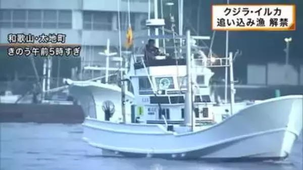 クジラ・イルカの追い込み漁が解禁　和歌山・太地町で約４００年続く伝統の漁