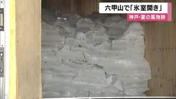 六甲山で「氷室開き」冬の間に氷を貯蔵した「氷室」の扉を開けて涼しく　設置の展望台の気温は神戸市街地より「約10度」低く　去年は猛暑ですべて溶けるも今年は約10トン残る