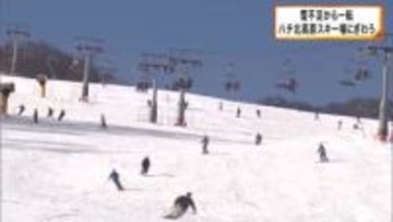 雪不足から一転　営業を延期していたハチ北高原スキー場　スキー客で賑わう