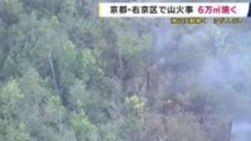 京都・右京区の山林火災　約６万平方メートル焼く　付近に住宅はなくけが人なし　京都市に火災注意報