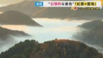紅葉と雲海が織りなす幻想的な景色...雲海が現れるのは限れた気象条件の朝　運が良くないと出会えない絶景　滋賀・おにゅう峠