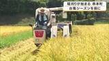 「台風シーズンを前に…早くも稲刈り始まる　4月に田植え　黄金色の稲穂を次々収穫　地元の小・中学校の給食にも　和歌山・串本町」の画像1