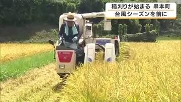台風シーズンを前に…早くも稲刈り始まる　4月に田植え　黄金色の稲穂を次々収穫　地元の小・中学校の給食にも　和歌山・串本町