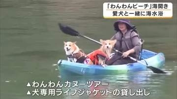 愛犬と一緒に海へ　全国でも珍しい犬専用ビーチがオープン　「めちゃめちゃ楽しいって言ってます」犬も飼い主も大喜び　兵庫・豊岡市