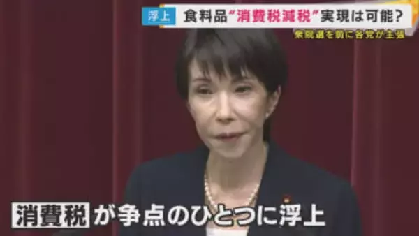 「食料品の消費税ゼロ」が衆院選の焦点　高市総理に「ブレすぎ」と野党は批判 　レジ改修は「かなり力をそそがないといけない」