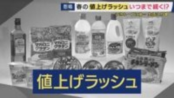 4月から“2798品目”値上げも「夏が本番」専門家が警告　月500円のお小遣いでしのぐ家庭も「まずは固定費の見直し」節約のプロがアドバイス「食費は手取りの15％以内に」