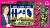 「【解説】クルーズ船で“集団感染”のハンタウイルス　専門医が指摘「過度に恐れる必要はない」かつては大阪で「梅田熱」と呼ばれた流行も「衛生状態向上した現在の日本で大規模感染拡大は考えにくい」」の画像1