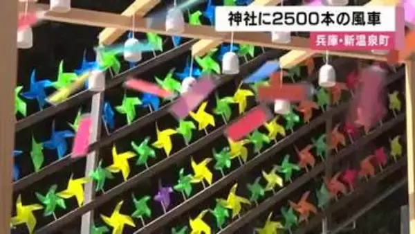 参道に2500本の風車がずらり　コロナ禍の「気分転換」から始まった神社の風景　SNSで人気の「映えスポット」に　兵庫・新温泉町
