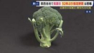 「売り上げは50万円くらい見込んでいたけど7～8万円。初めての経験で想定外」とブロッコリー農家　“早すぎる”暑さで生育進みすぎピンチ　今年初めて近畿で猛暑日