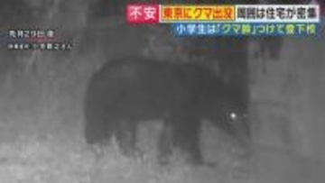 「こんなとこまで来るなんて」東京・八王子の住宅地にクマ　“繁殖期”に高まる母グマの攻撃性　「生きた心地がしなかった」壮絶体験をした人も　対策法を専門家が解説