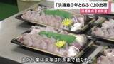 「冬の味覚の王者「３年とらふぐ」出荷ピーク　甘みとコクが凝縮された味わい　１年長く育てた美味しさが全国へ　兵庫・淡路島」の画像1