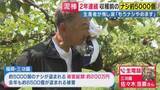 「【生電話中継】「許せない…こないだあったものが全て無くなるとは」ナシ約5000個総額200万円分が窃盗被害　2年連続被害で閉園検討　広がるSNSの“励まし”に「今は前を向いているところ」と農家語る」の画像1