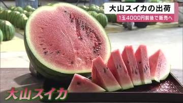 重さ10キロ超えも…夏の味覚「大山スイカ」出荷開始　シャキシャキ食感と例年通りの甘さが自慢　1玉4000円前後で販売へ　兵庫・丹波篠山市