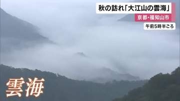 「この秋一番なのでは」山々の間に雲海が現れる　京都・福知山市の大江山　晴れた日には雲海が黄金色に