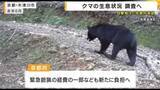 「クマの空白地で目撃相次ぐ　木津川・宇治などで85件　初の生息調査と対策強化へ　来年度から本格実施　京都府」の画像1