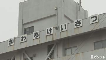 朝の横断歩道で死亡事故…81歳男性が軽自動車にはねられ死亡　運転手の76歳女を過失運転致傷容疑で現行犯逮捕　東大阪市