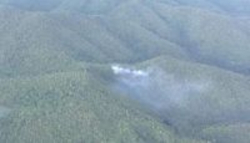 【速報】京都・右京区の山林火事　約４時間後にほぼ消し止められる　けが人なし　焼失面積は調査中