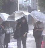 「3日夜から未明にかけ「警報級大雨」のおそれ　大阪で最大100ミリ　和歌山は最大150ミリ予想　低い土地の浸水や土砂災害に注意」の画像1