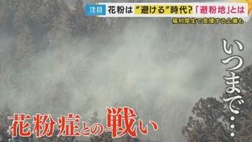 経済損失は1日2450億円　「花粉症」との戦い　国の対策“小花粉スギ”の拡大　新しいライフスタイル「花粉を避ける」“避紛地”も