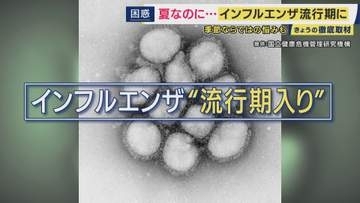「インフルなんか考えてもなかった」過去2番目の早さでインフルエンザ流行期入り　“今が冬の南半球との往来活発・猛暑で換気できず”流行か　「下水から流行中の『型』までリアルタイムでわかる」最新研究も