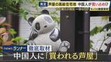 「日本屈指の高級住宅地芦屋市の「六麓荘」が中国人に人気　さらに近年人気高まる海辺の地域は「風水的に絶好」で購入希望相次ぐ　一方でゴミ捨てなどマナー問題も」の画像1