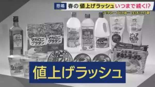 「4月から“2798品目”値上げも「夏が本番」専門家が警告　月500円のお小遣いでしのぐ家庭も「まずは固定費の見直し」節約のプロがアドバイス「食費は手取りの15％以内に」」の画像