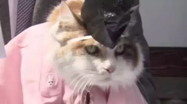 【速報】2代目のネコ駅長「ニタマ」永眠　和歌山電鉄初代ネコ駅長「たま駅長」の後を継ぎ人気