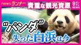 「絶対的アイドル・パンダ不在でも客足好調　和歌山・白浜町　アドベンチャーワールドが目指す「地球で1番癒されるパーク」　町長が明かす“シン白浜町”構想　温泉への原点回帰　草津温泉をモデルにした「湯畑」も」の画像1