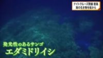 観光船「ブルーマリン」クリスマス限定のナイトクルーズを開催　透明度抜群の冬の海でサンゴが光り輝く幻想的な景色　観光客を魅了　徳島・海陽町