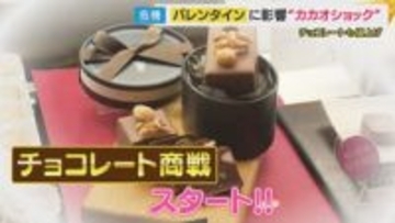 バレンタインに危機「カカオショック」価格2倍に高騰でチョコレート値上げも　異常気象原因で収穫量が低下　救世主に？国産カカオや「代替チョコ」