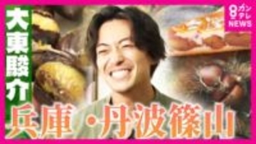 「和栗の王様」丹波栗と“ぼたん鍋発祥”1609年創業の料理旅館で大東さん感動「辛いとき食べたら泣いてまう」　“食の宝庫”兵庫・丹波篠山市を堪能【大東駿介の発見！てくてく学】