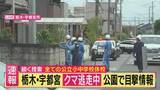 「【現場報告】“新幹線の駅から車で数分の市街地”にクマ　「麻酔銃」を撃ったか　栃木・宇都宮で「防弾チョッキ姿」の警官も出動　市内全94校が休校　クマは2頭か？」の画像1