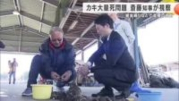 カキ大量死問題　斎藤知事が現地を視察　資金繰り支援などに「必要な予算を確保する」