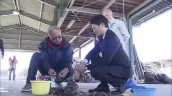 西播磨の養殖カキ大量死　兵庫県が『ふるさと納税で寄付を募る応援プロジェクト実施』を発表　「義援金ではなく中長期的に応援」と斎藤知事