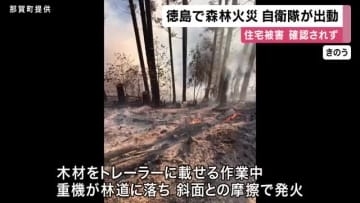 徳島県那賀町で山林火災　派遣要請を受けた自衛隊などが消火活動　重機が林道に落ち斜面との摩擦で発火か　住宅の被害はなし