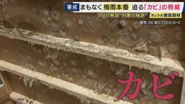 梅雨に潜む「カビ」の脅威　41％のスマホからカビ検出の調査も　命に関わる病気を招くことも　プロが教える対策の秘訣「こすらない」「熱いお湯」「“乾燥”ではなく“換気”」