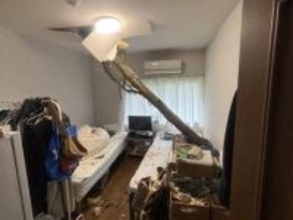 住宅の寝室に“倒木”が直撃　当時住人がいるもケガはなし　強風の影響か　和歌山・白浜町
