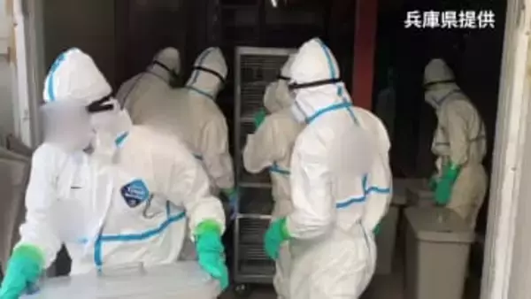 ニワトリ約15.5万羽を殺処分へ　兵庫県で今シーズン2例目の鳥インフルエンザ感染確認