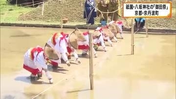 京都祇園・八坂神社の御神田で田植え「御田祭」　祇園祭の神輿飾りなどに用いられる稲に　京都・京丹波町