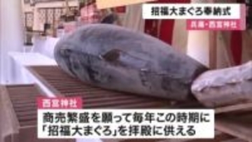 商売繁盛願い「特大マグロ」奉納　えびす宮総本社・西宮神社に　さい銭貼り付けると「お金が身につく」　あすから”十日えびす”