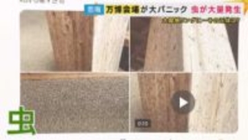 「木目と思ったらすべて虫」「大丈夫なわけない」万博に大量発生した「ユスリカ」防虫スプレーは効果期待できず　対処に苦労した来場者も【大阪・関西万博を振り返る】