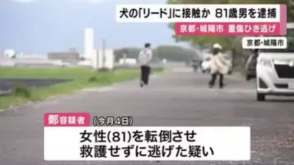 「リード」に接触　犬の散歩中の高齢女性に重傷負わせひき逃げか　８１歳男を逮捕　京都・城陽市