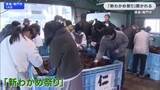「春の味覚「鳴門わかめ」4トン放出　新わかめ祭り　500円詰め放題に人だかり　6時出発の来場者も　徳島・鳴門市」の画像1