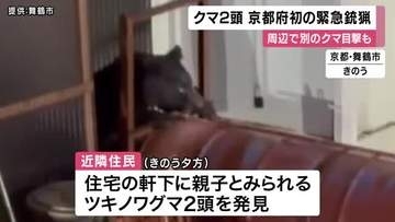ツキノワグマ2頭「緊急銃猟」によって駆除　別のクマの目撃も相次ぎ市が注意呼びかけ　京都府内での緊急銃猟は初めて　京都・舞鶴市