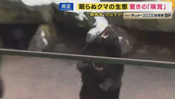 「眠らないクマ」温暖化で冬眠短くなり”食料ある限り眠らない”とも「空白地帯」に“進撃”理由は「高齢化で住民減り柿などエサが豊富に放置された状況」か