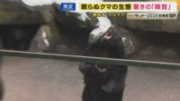 「眠らないクマ」温暖化で冬眠短くなり”食料ある限り眠らない”とも「空白地帯」に“進撃”理由は「高齢化で住民減り柿などエサが豊富に放置された状況」か