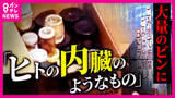 「なぜ「ヒトの内臓」が卸売市場に…　小指などの入った瓶が市場のごみ置き場付近に大量廃棄された事件　背景を独自取材」の画像1