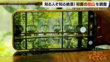 【嵐山】観光客が落ち着く“初夏”に楽しめる「鏡映しの青もみじ」　水害と景観を守るため驚きの仕掛け…　夏限定の絶品街中華も　京都・嵐山の初夏の魅力を再発見【大東駿介てくてく学】